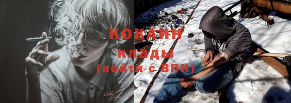 дживик Аркадак