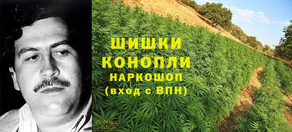 PSILOCYBIN Алзамай