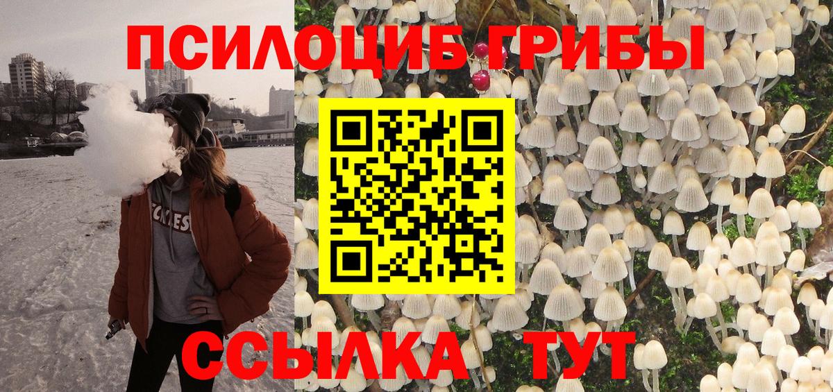 Тюмень  Псилоцибиновые грибы прущие грибы  Псилоцибиновые грибы Cubensis  цены наркотик  Вход с VPN 